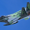 アグレッサー