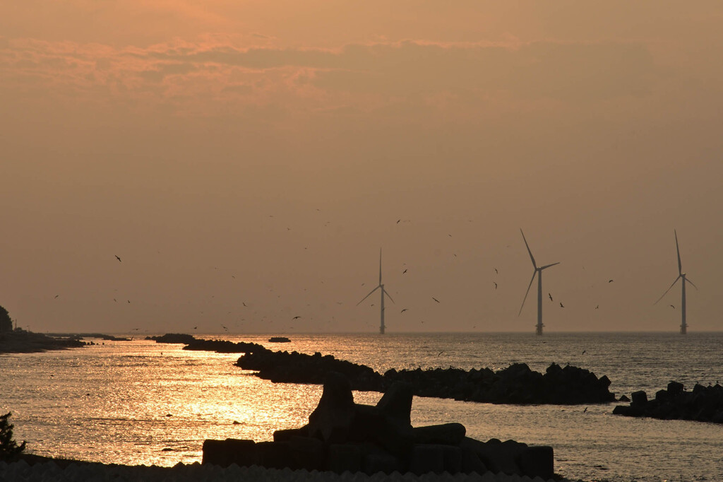 日本海　夕陽