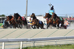 ばんえい競馬