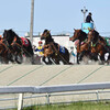 ばんえい競馬