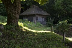 晩夏？ 栗落つる道