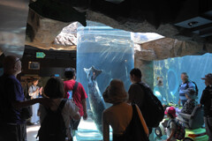 旭山動物園・