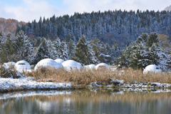 おらが村にも・・