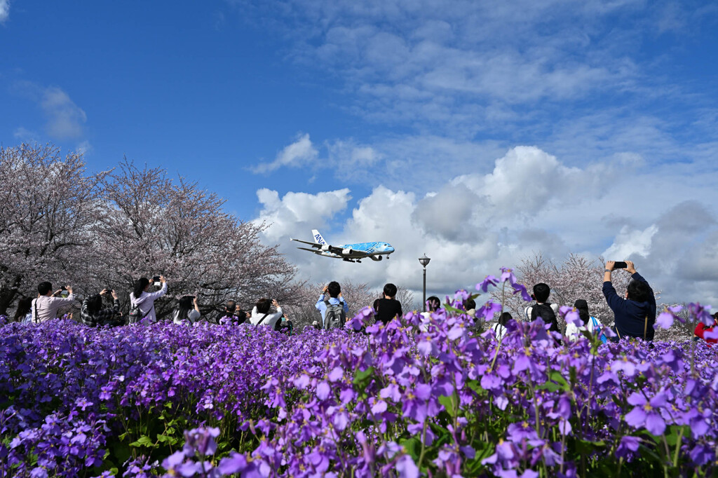 花のNARITA