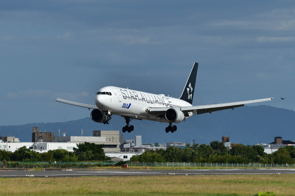 ＳｔａｒＡｌｌｉａｎｃｅ