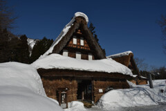 五箇山　合掌造り　１