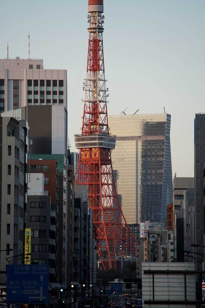 夕方　東京タワー