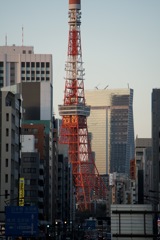 夕方　東京タワー