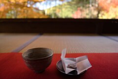 宝泉院の庭