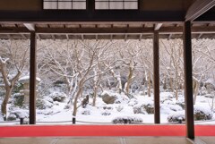 冬の圓光寺庭園