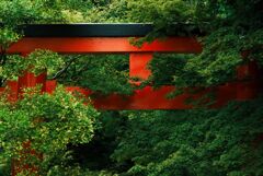 下鴨神社の西の鳥居