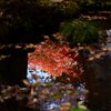 水面の紅葉