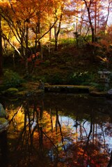 三千院門跡の池