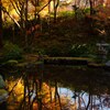三千院門跡の池