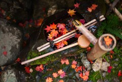 晩秋の手水舎