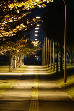 豊見城市しおさい公園
