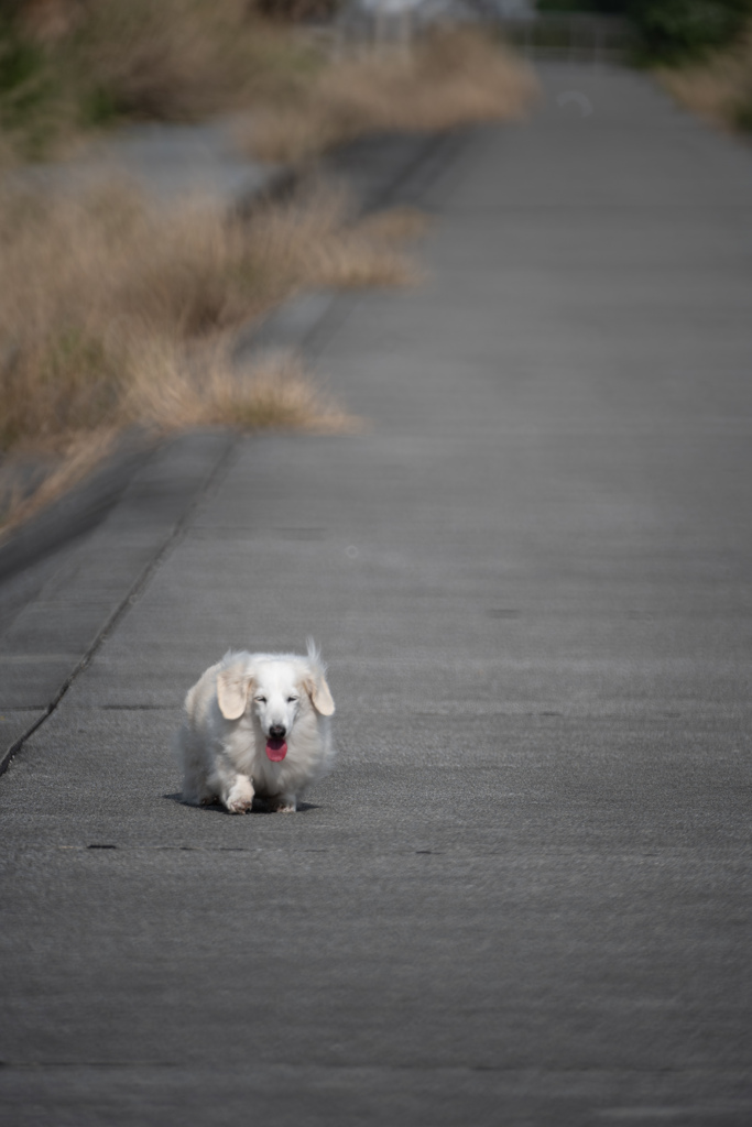 うるま市具志川