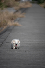 うるま市具志川
