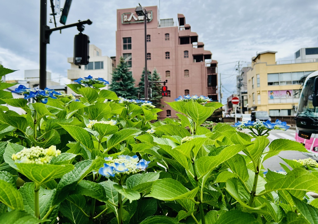 交差点を埋めて