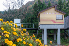 秋田内陸線 阿仁マタギ駅前マリーゴールド