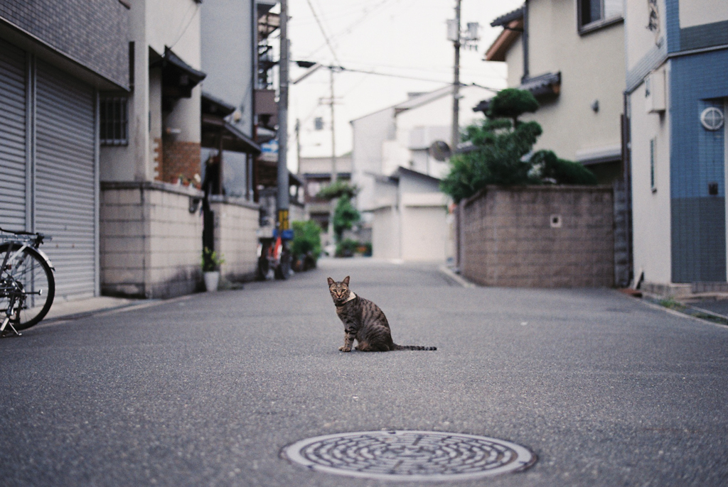 出会い♡(film)