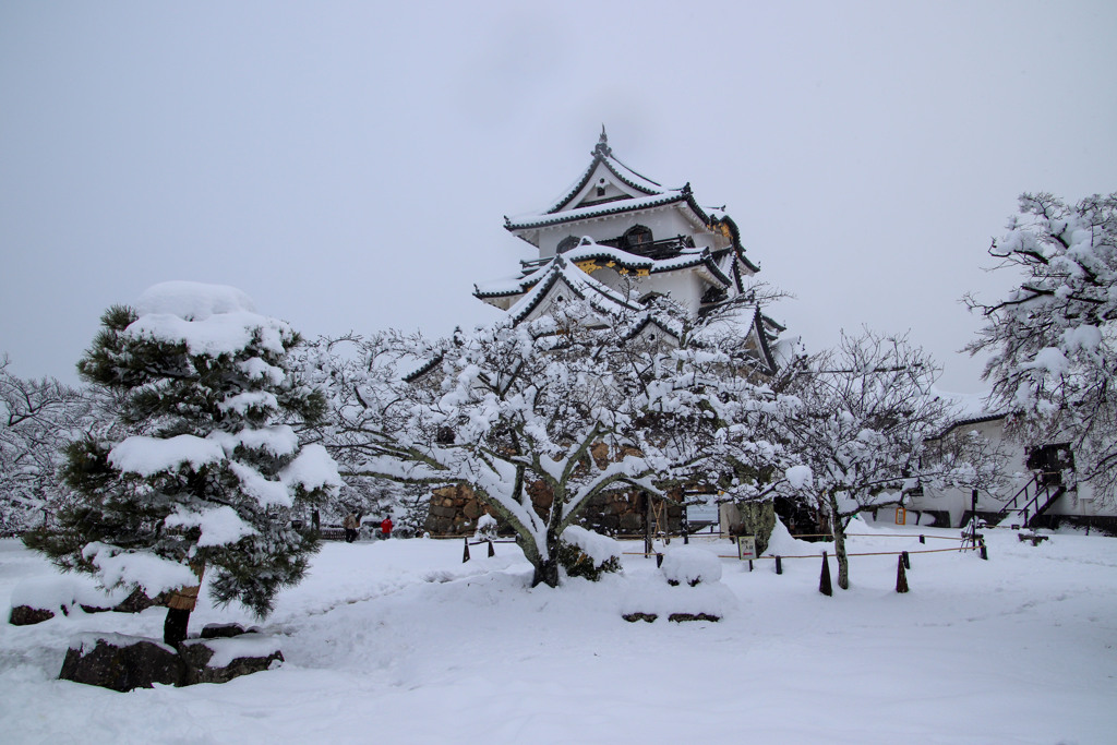 雪の彦根城