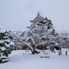 雪の彦根城