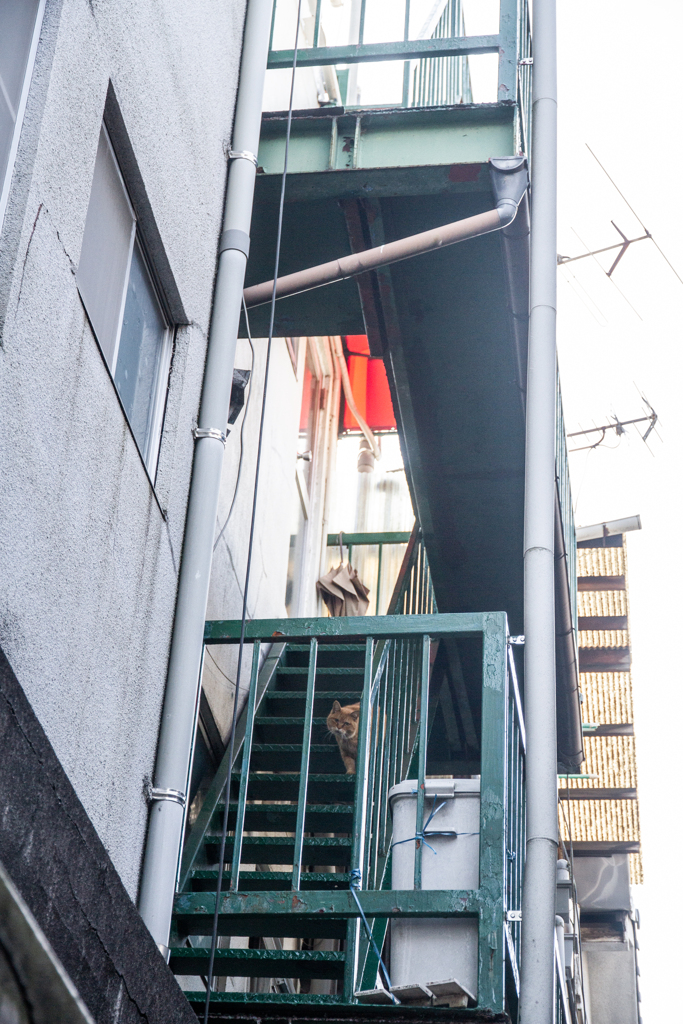 ふと、目が合う