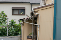 水差し