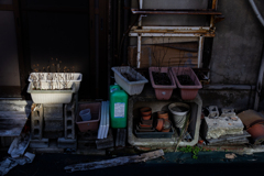 陽の当たる場所