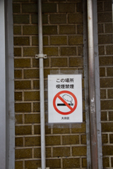 この場所