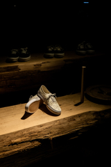 ショーウィンドウ