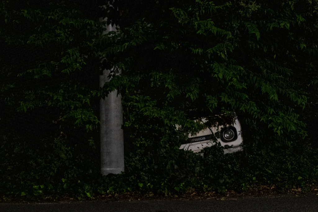 草葉の陰から
