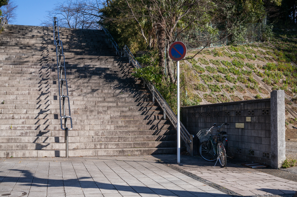 日陰の自転車