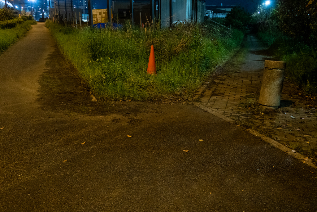 分かれ道
