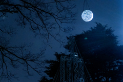 イルミらない夜