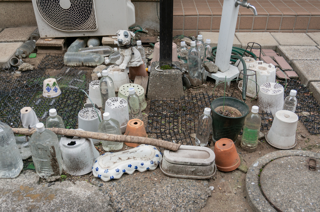 わんこのコレクション