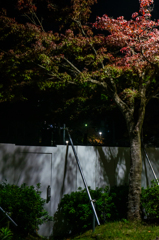 工事中