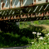 鉄橋と花