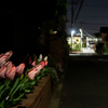 夜道にて