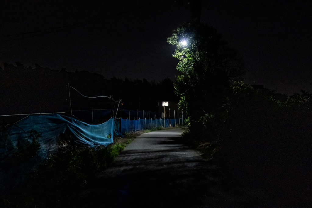 夜道のネット