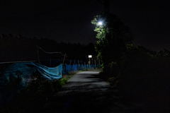 夜道のネット