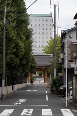 都会の寺