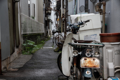 路地裏のカブ