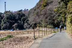 田舎道