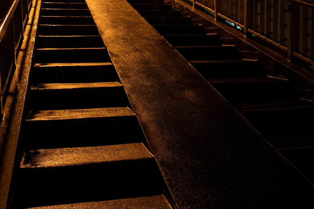 雨上がりの歩道橋