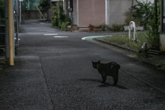 振り返る