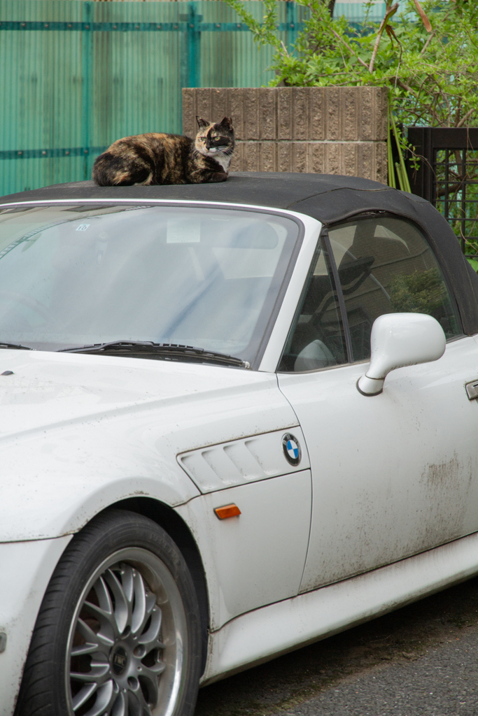 BMWに乗って