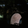 トンネル