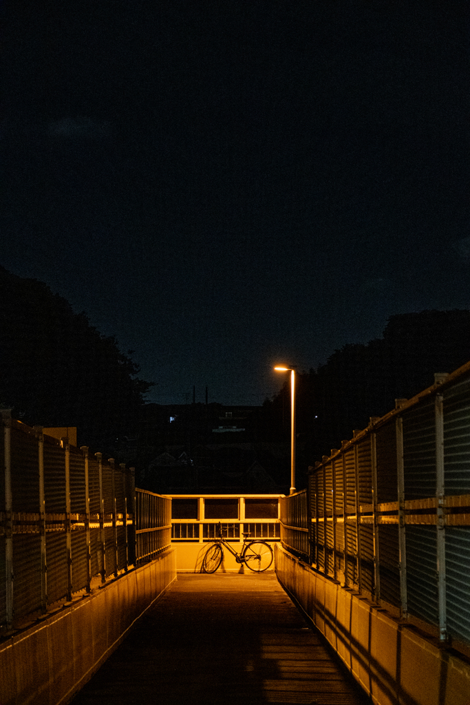 歩道橋にて